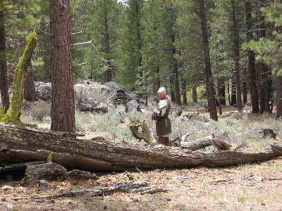 IMG_2010.JPG (2.18 MiB) Viewed 134700 times IMG_2010.JPG